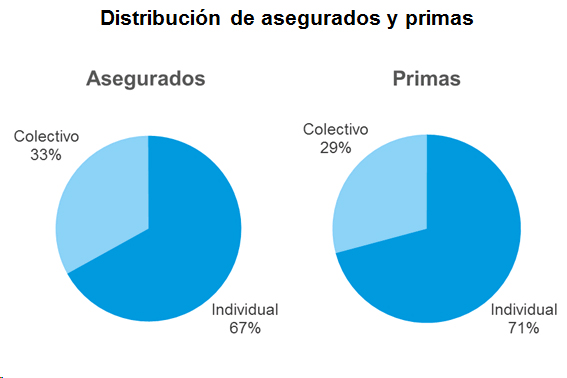 Distribución Asegurados Primas Distribución de asegurados y primas