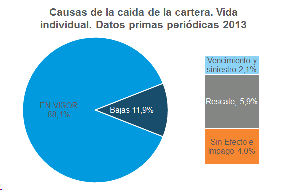 Caída Cartera Causas de la caída de la cartera. Vida individual. Datos primas periódicas 2013