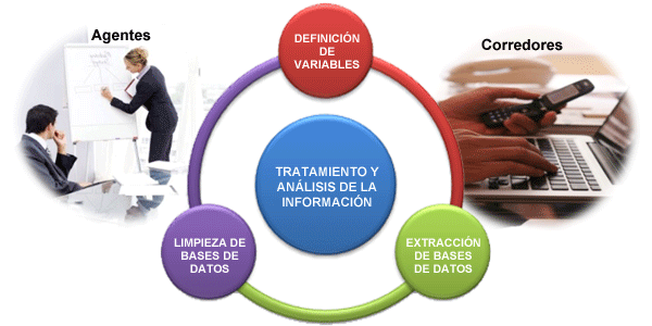 Perfil del Mediador Imagen Perfil Mediador