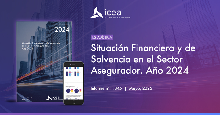 Situación Financiera y de Solvencia en el Sector Asegurador. Año 2024