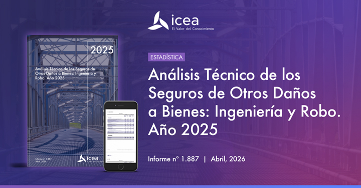 Análisis Técnico de los Seguros de Otros Daños a Bienes: Ingeniería y Robo. Año 2025