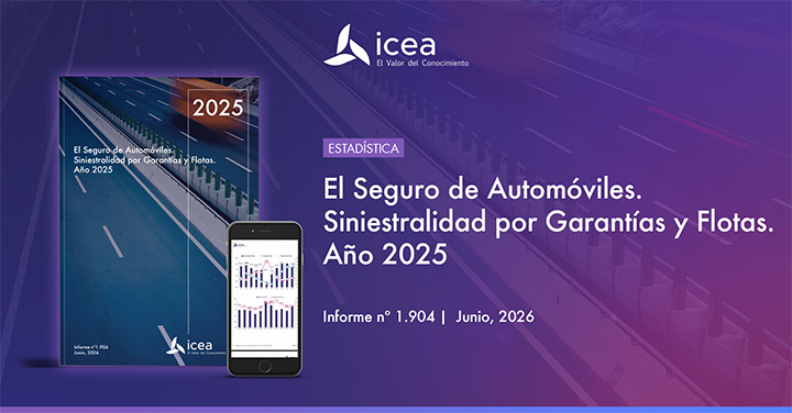 El Seguro de Automóviles. Siniestralidad por Garantías y Flotas. Año 2025