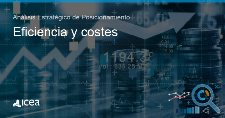 Eficiencia y Costes