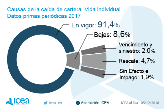 Causas de caída de la cartera individua